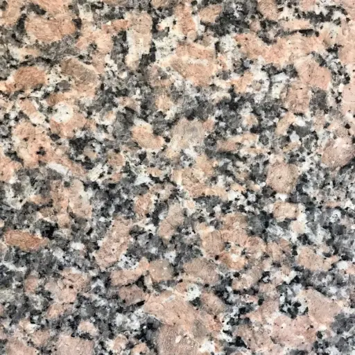 [T50] ROSA DEL SALTO